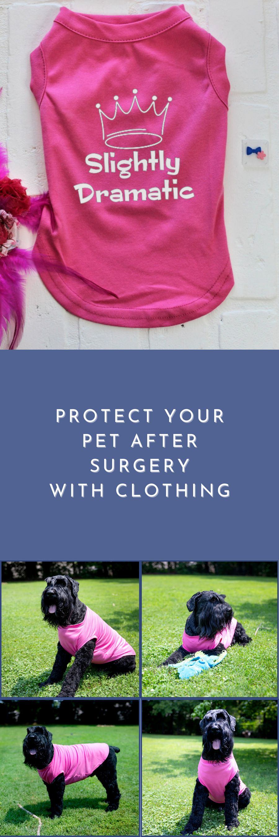 Slightly Dramatic Dog T-Shirt in Pink - Helps with Shedding for Pets