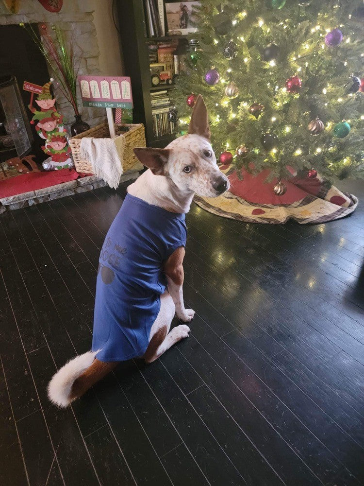 dog shirt for large dogs.