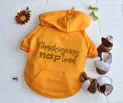 Orange dog hoodie for fall in flat lay view with Thanksgiving design.