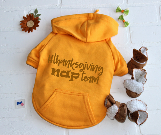 Orange dog hoodie for fall in flat lay view with Thanksgiving design.