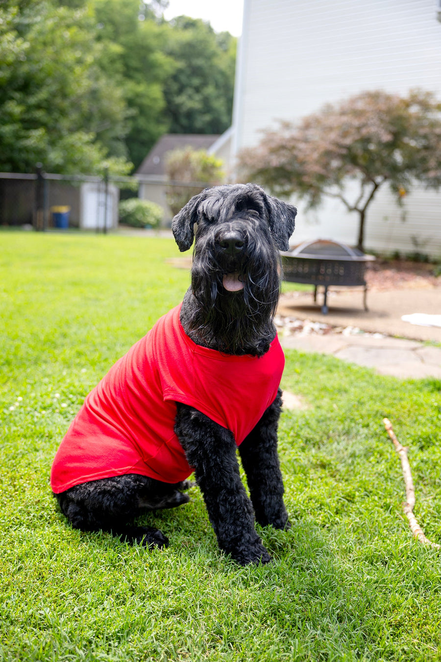 dog tank in red for anxiety relief in pets