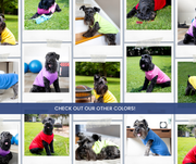 Purple Blank Pet Shirt for DIY Customization - Perfect for Personalizing