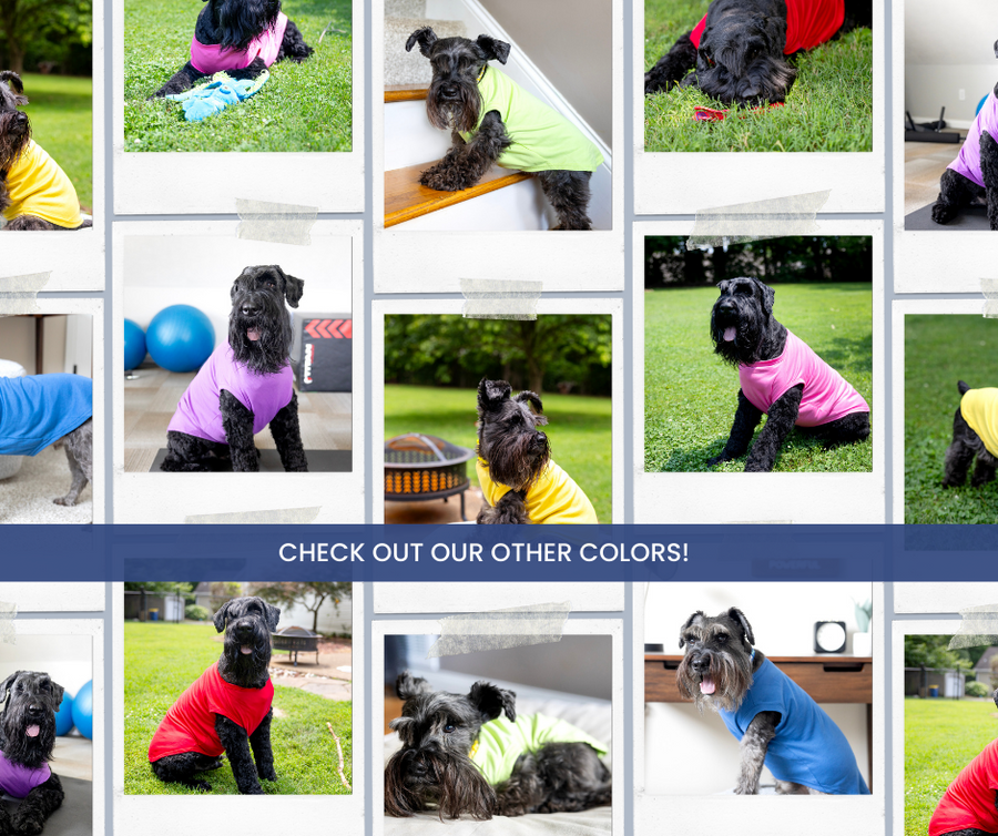 Purple Blank Pet Shirt for DIY Customization - Perfect for Personalizing