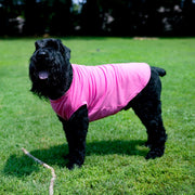 Dog Tee for Reveal Party | Pink Sibling Announcement Shirt for Pet