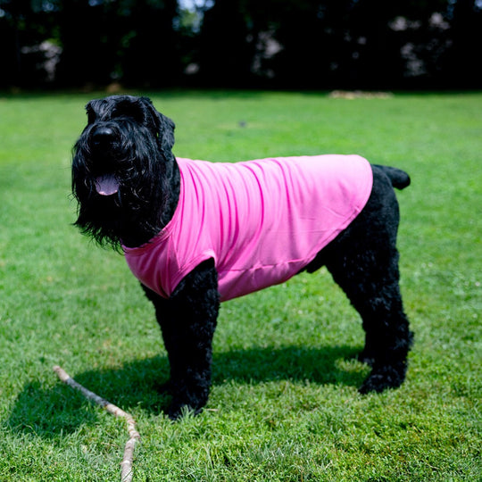 Dog Tee for Reveal Party | Pink Sibling Announcement Shirt for Pet