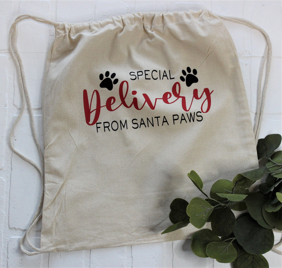 Personalized Santa Bag for Pet - Custom Holiday Gift Bag for Dogs