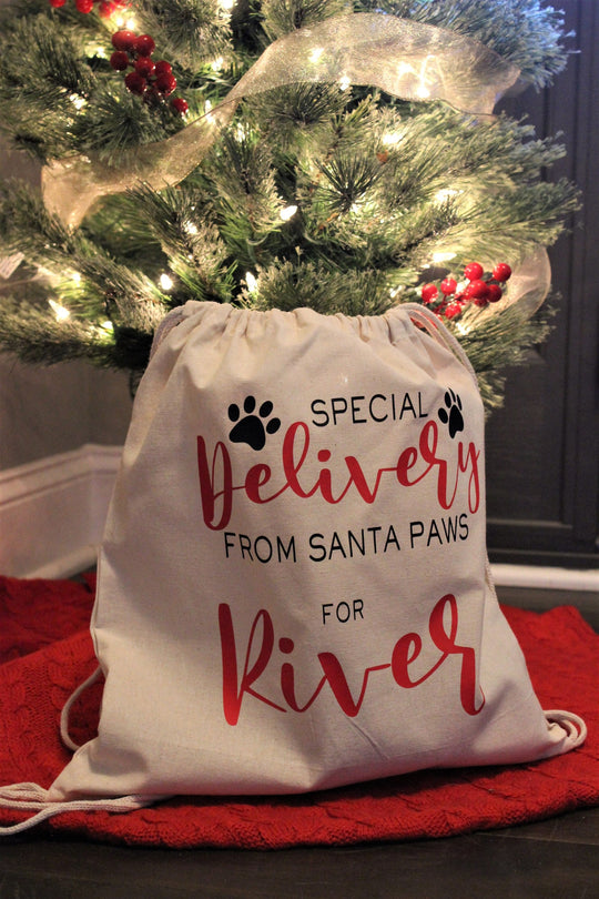 Personalized Santa Bag for Pet - Custom Holiday Gift Bag for Dogs