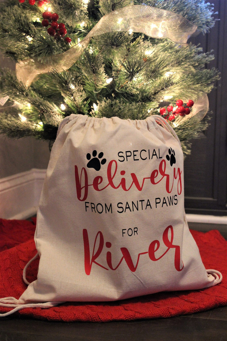 Personalized Santa Bag for Pet - Custom Holiday Gift Bag for Dogs