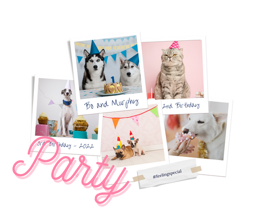 Party Wear