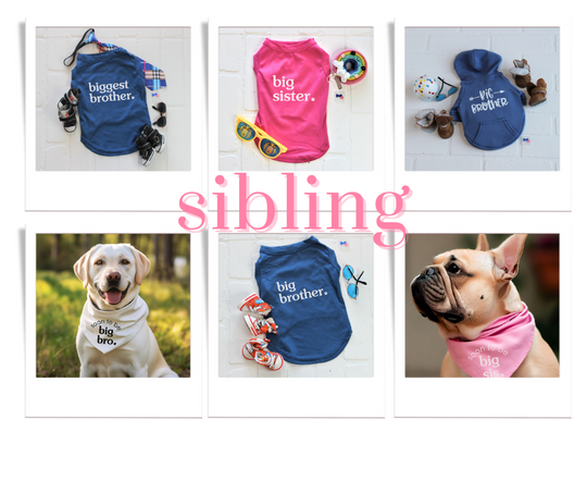 big brother pet shirt, big sister pet shirt