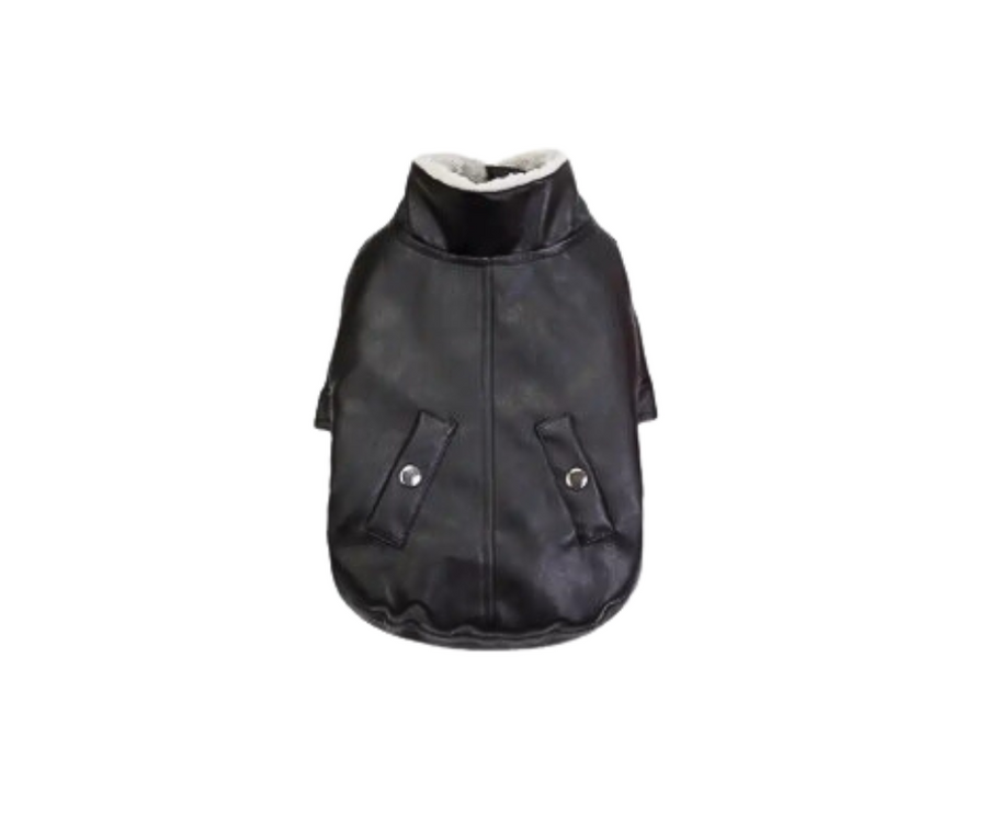 back side of black jacket for dog