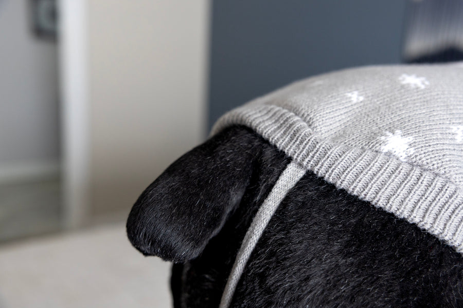 Best dog sweater with straps at back end, close up of straps in grey