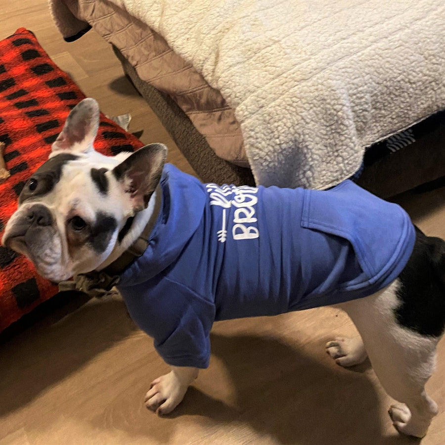 Big Brother Hoodie for Cats – Sibling Reveal Sweatshirt for Cat Lovers