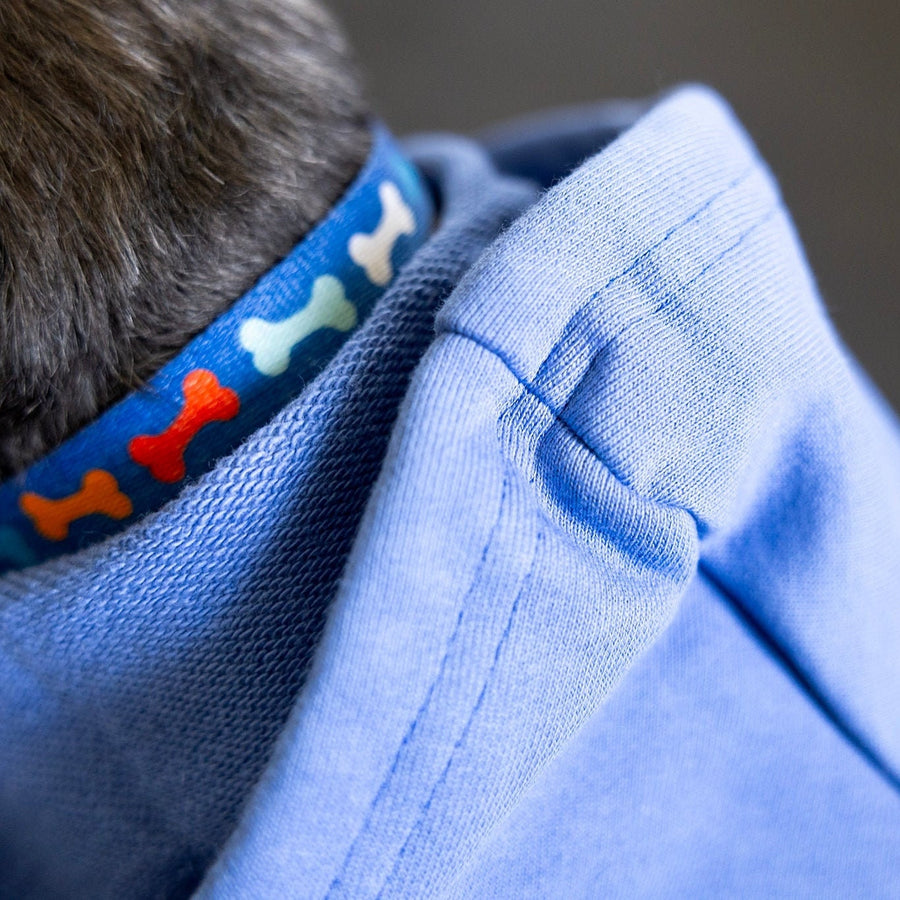 Big Brother Hoodie for Cats – Sibling Reveal Sweatshirt for Cat Lovers