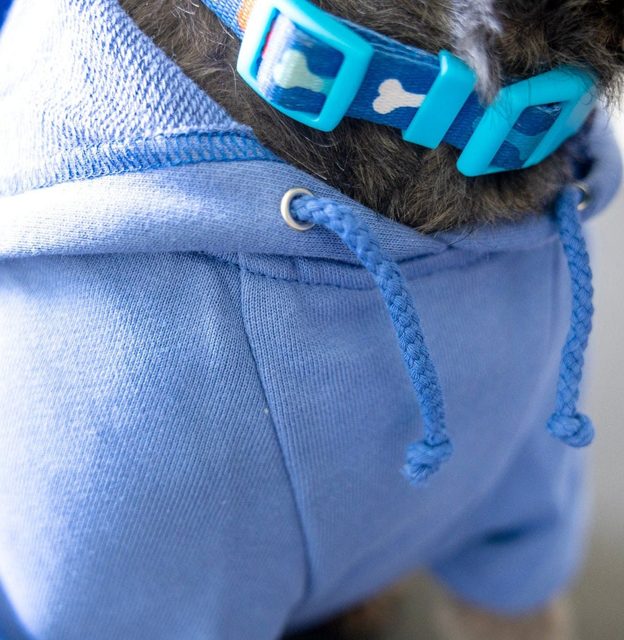 Big Brother Hoodie for Cats – Sibling Reveal Sweatshirt for Cat Lovers