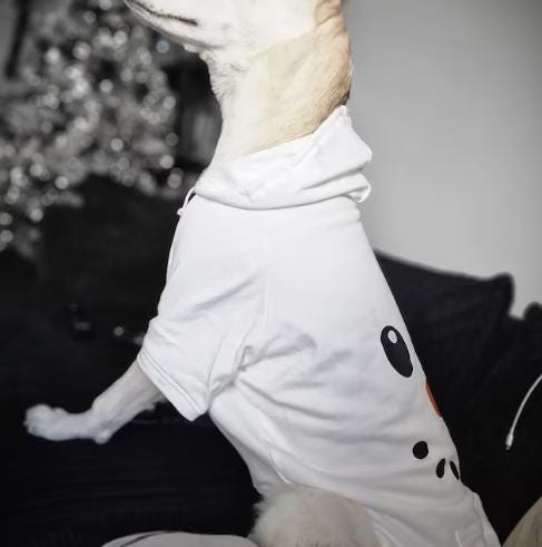 Big Sister Sibling Pet Shirt – Neutral Colors for Your Pet