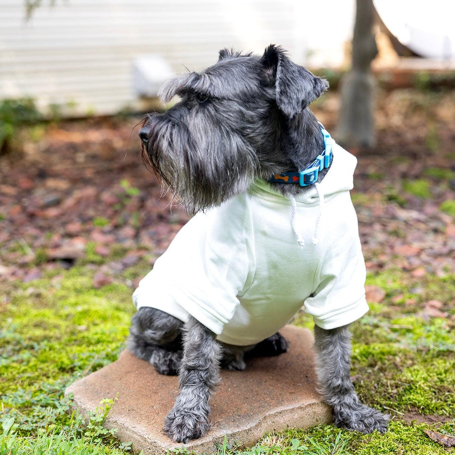 Big Sister Sibling Pet Shirt – Neutral Colors for Your Pet