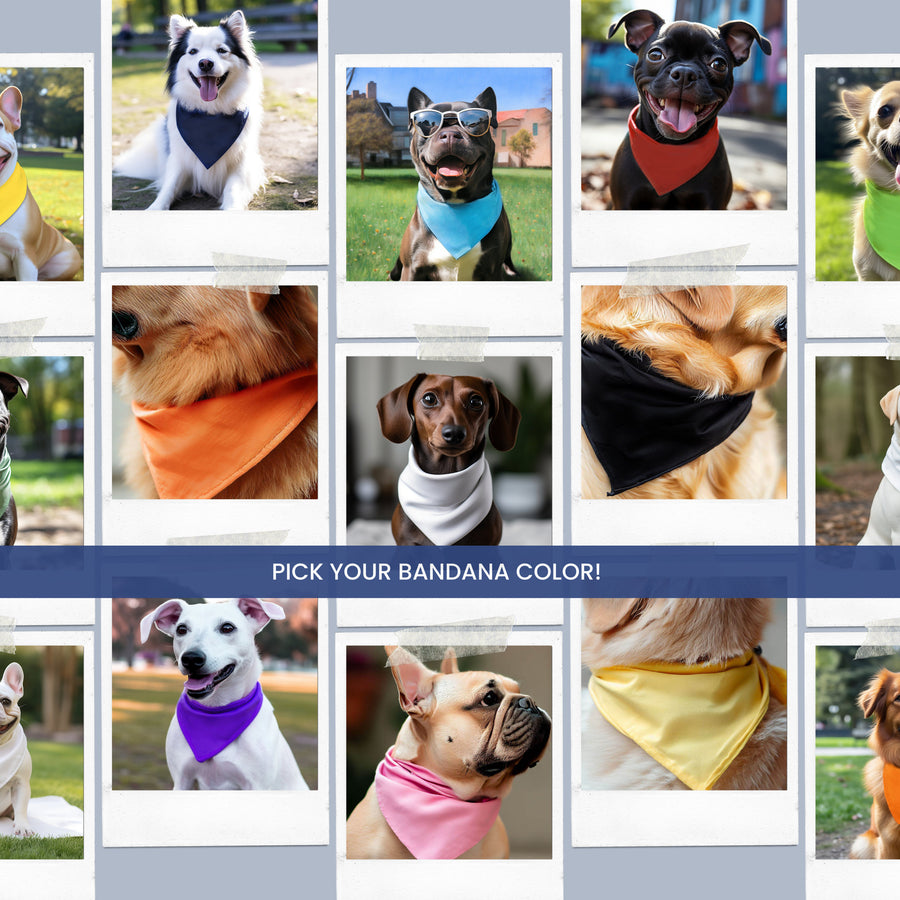 Birthday Bandana for Boy Dog – Party Accessory for Pup
