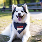 Birthday Bandana for Boy Dog – Party Accessory for Pup