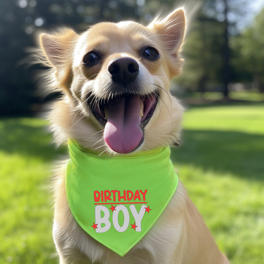 Birthday Bandana for Boy Dog – Party Accessory for Pup