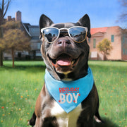 Birthday Bandana for Boy Dog – Party Accessory for Pup