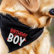 Birthday Bandana for Boy Dog – Party Accessory for Pup