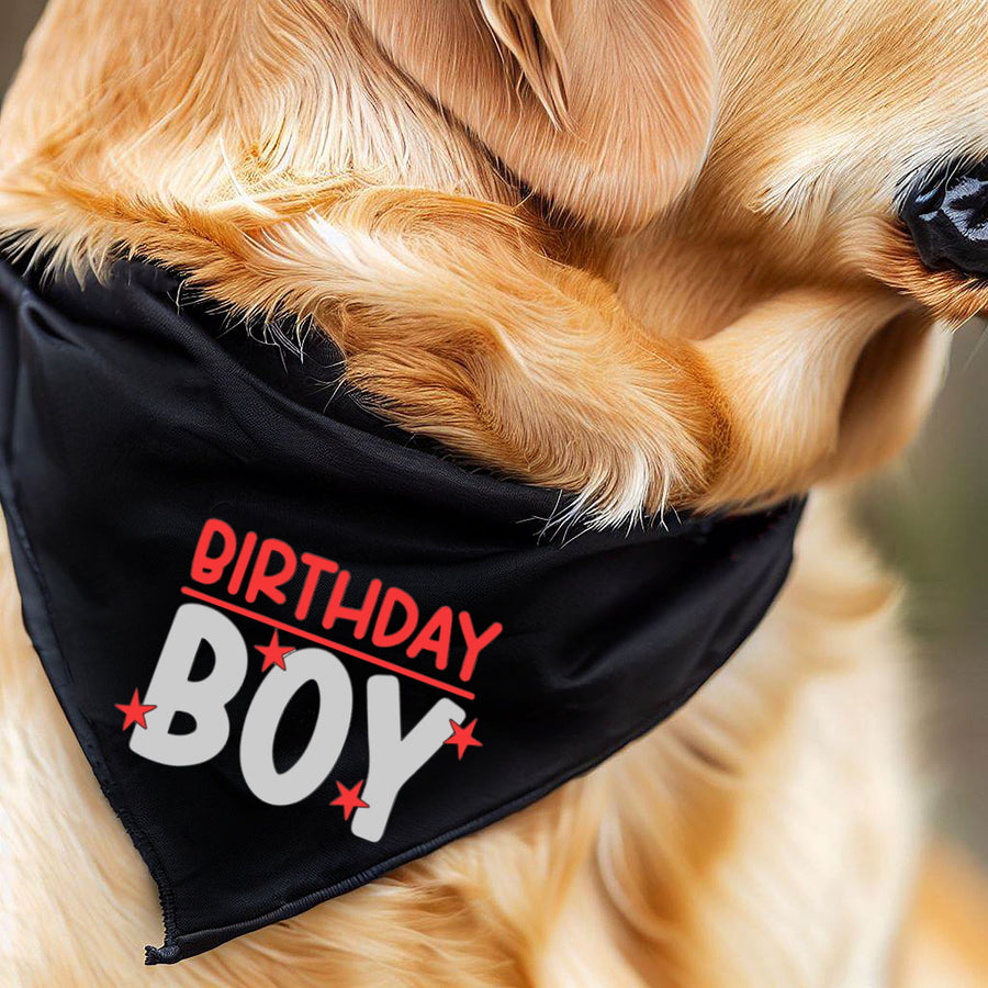 Birthday Bandana for Boy Dog – Party Accessory for Pup