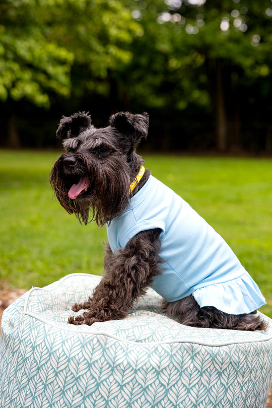 Blue Dog Dress for Winter - Warm & Cozy Outfit for Cold Weather