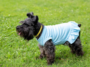 Blue Easter Dress for Dog - Cute & Festive Outfit for Spring Celebrations