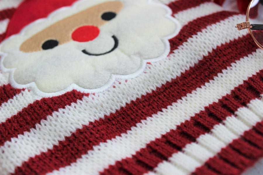 close up of red dog sweater with felt santa