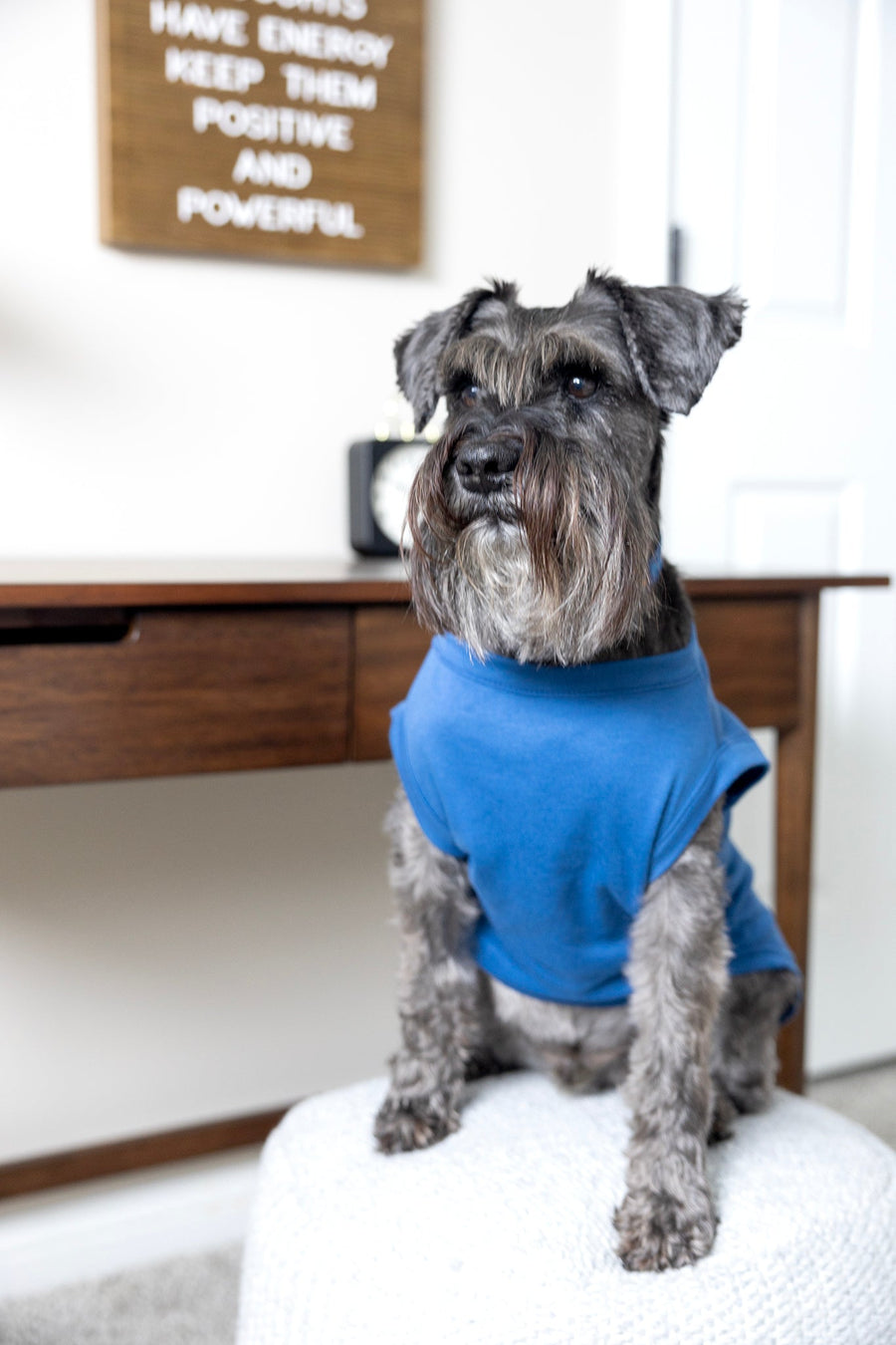 Comical Blue Dog T-Shirt - 'Will Do Tricks For Food' Funny Pet Apparel