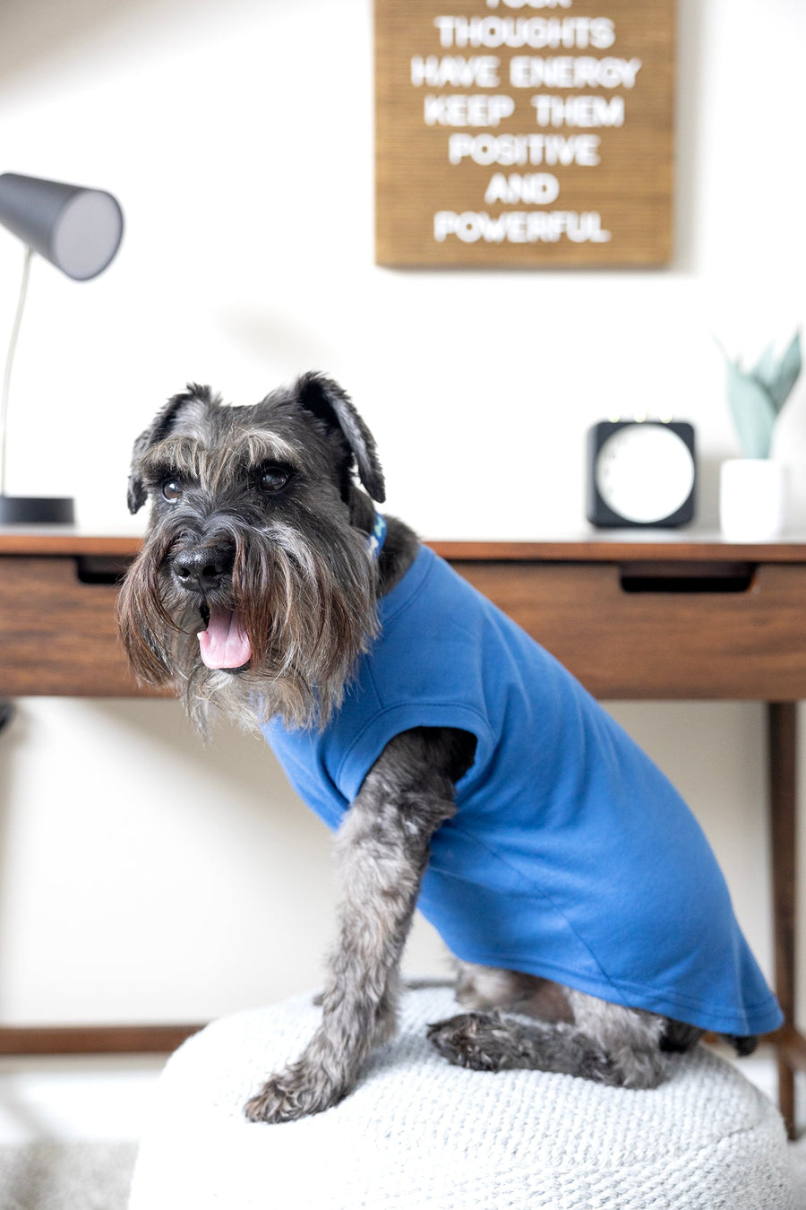 Comical Blue Dog T-Shirt - 'Will Do Tricks For Food' Funny Pet Apparel