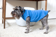 Comical Blue Dog T-Shirt - 'Will Do Tricks For Food' Funny Pet Apparel