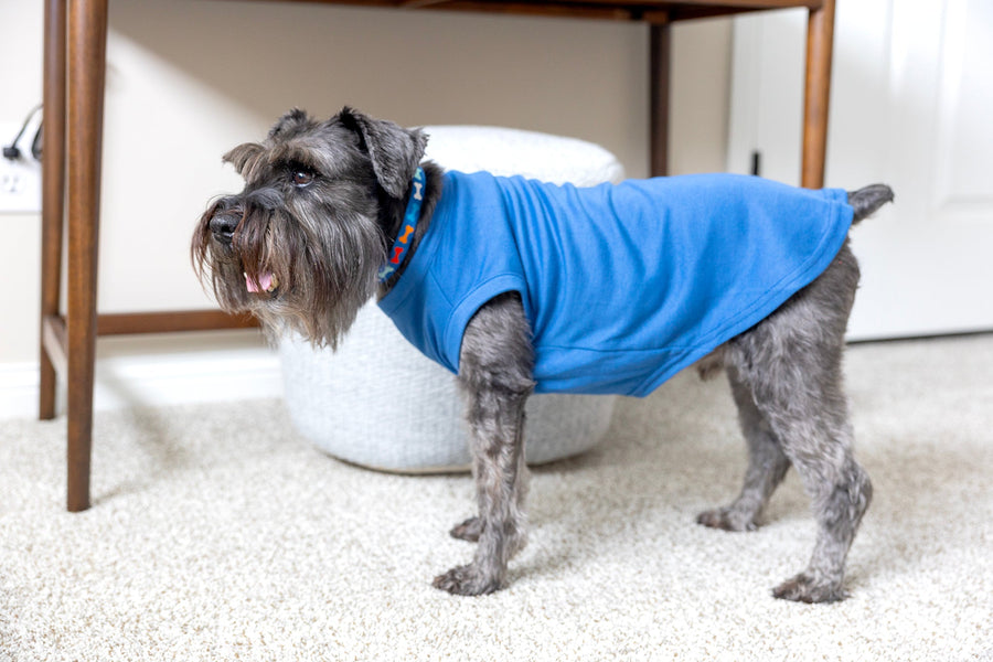 Comical Blue Dog T-Shirt - 'Will Do Tricks For Food' Funny Pet Apparel