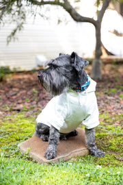 Custom 1st Birthday Dog Shirt – Personalized Party Outfit