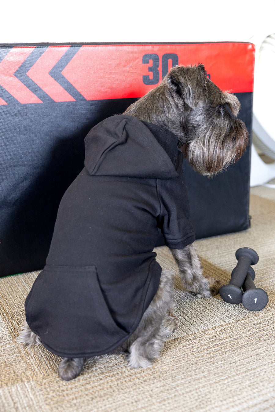 Custom Black Dog Hoodie - Personalize with Your Team Logo or Design
