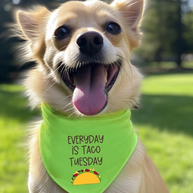 Custom Dog Bandana - Personalize with Your Own Design for Your Pet