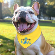 Custom Dog Bandana - Personalize with Your Own Design for Your Pet