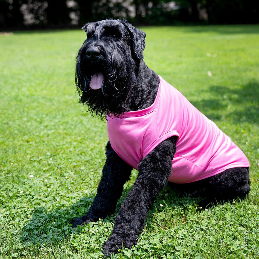 Daddy's Girl Dog Shirt | Pink Tee for Father's Day Gift, Puppy Tank