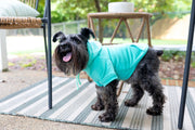 Daddy's Little Girl Dog Sweatshirt | Cute Pink Pet Hoodie for Dogs
