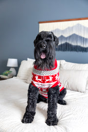 Designer Dog Sweater with winter design, showing front with dog sitting, design is continuous on front and back