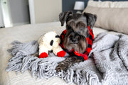 Dog Pajamas Plaid, Black and Red Buffalo Print, for matching pajamas