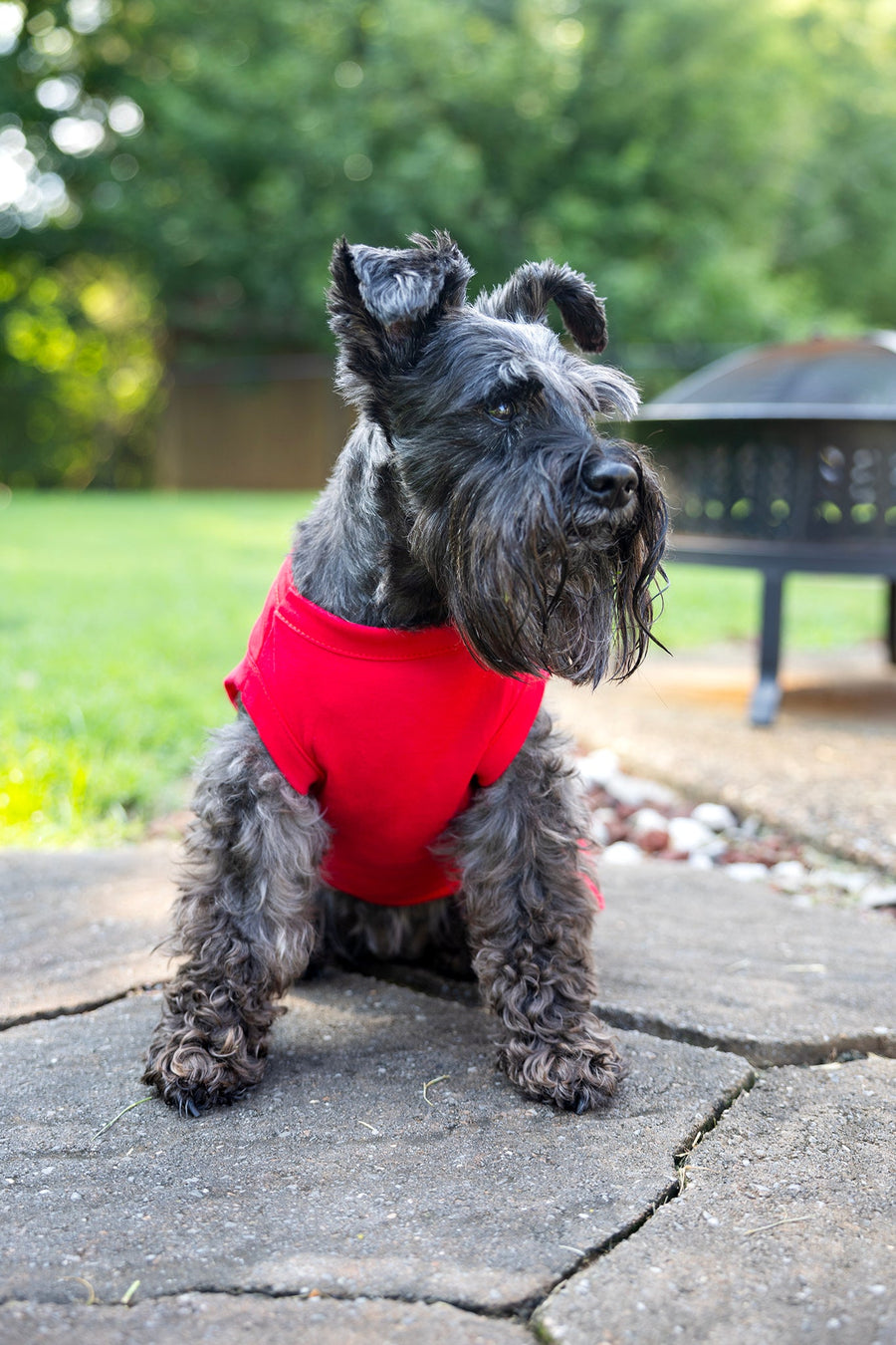 Fourth of July Red Dog Dress | Patriotic Pet Outfit for Your Dog