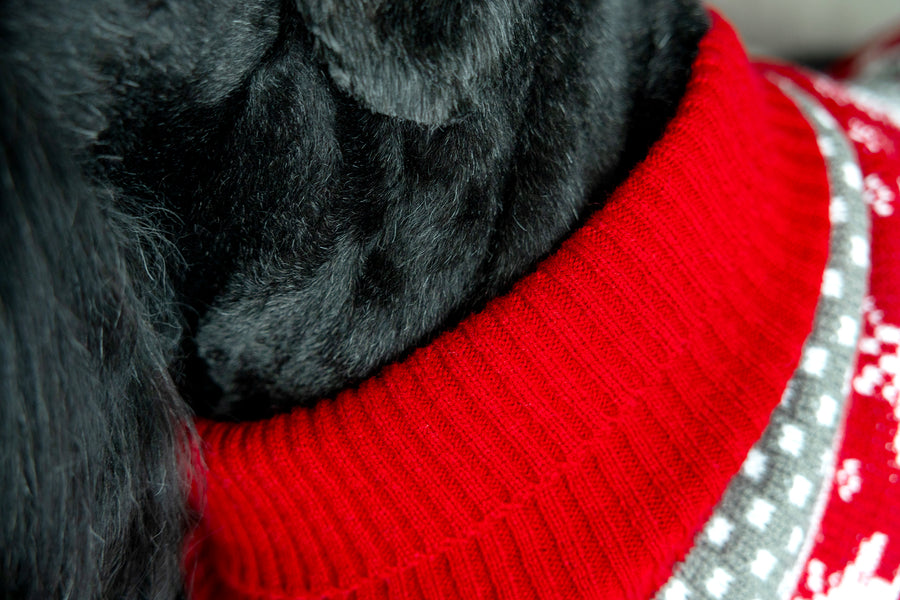 Dog turtleneck in red, close up of neckline, in red and grey