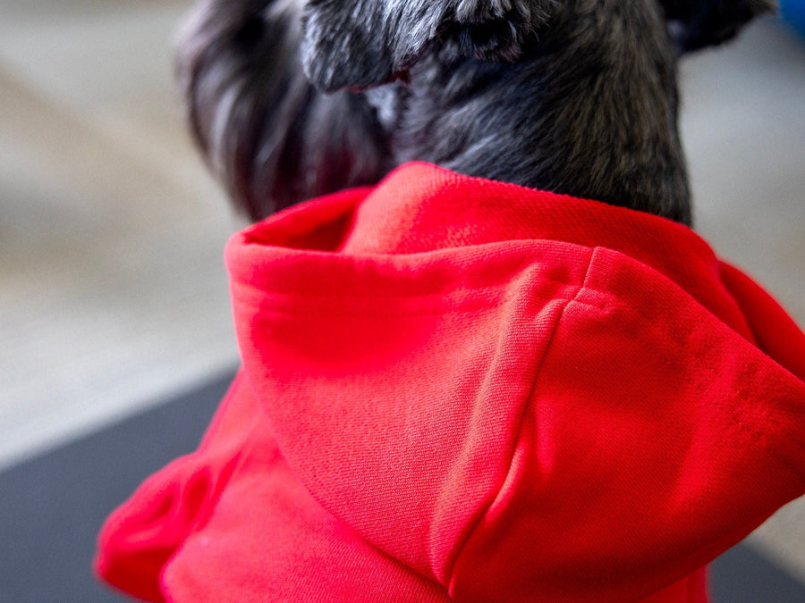 Dog Birthday Hoodie for Boy Dog | Red with Blue & White Design