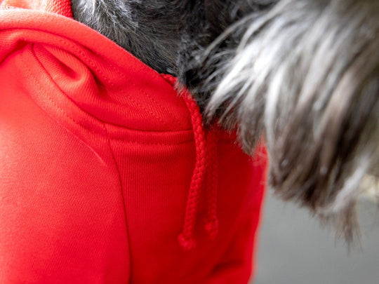 Dog Birthday Hoodie for Boy Dog | Red with Blue & White Design