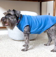 Dog Celebration Tee | Blue Pet Shirt with Funny Calm Dog Design