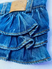 Dog Dress with Denim Skirt | Glitter Rainbow Design for Pet Outfit