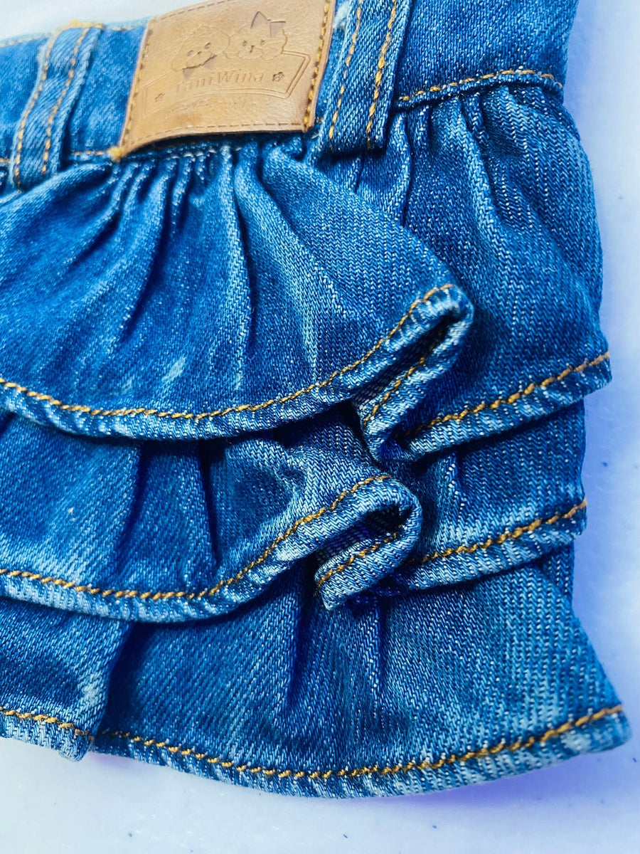 Dog Dress with Denim Skirt | Glitter Rainbow Design for Pet Outfit
