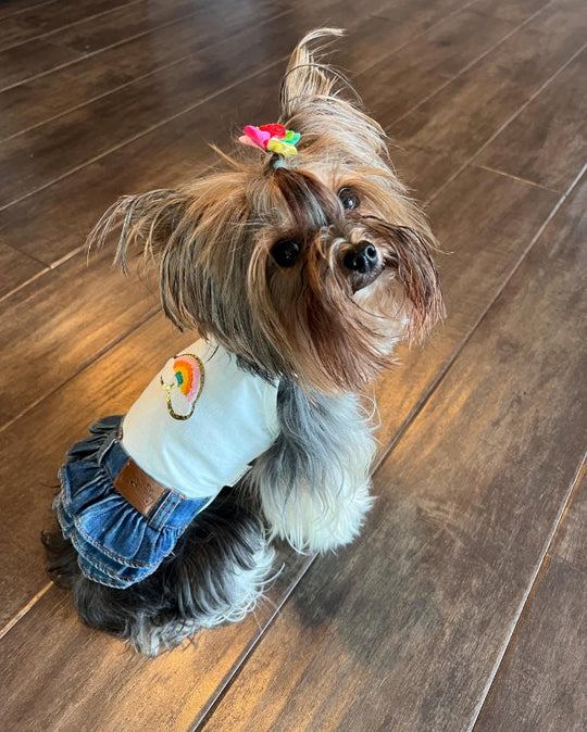 Dog Dress with Denim Skirt | Glitter Rainbow Design for Pet Outfit